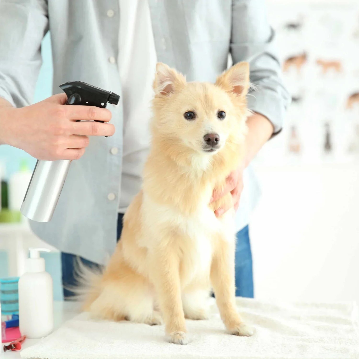Dog Grooming