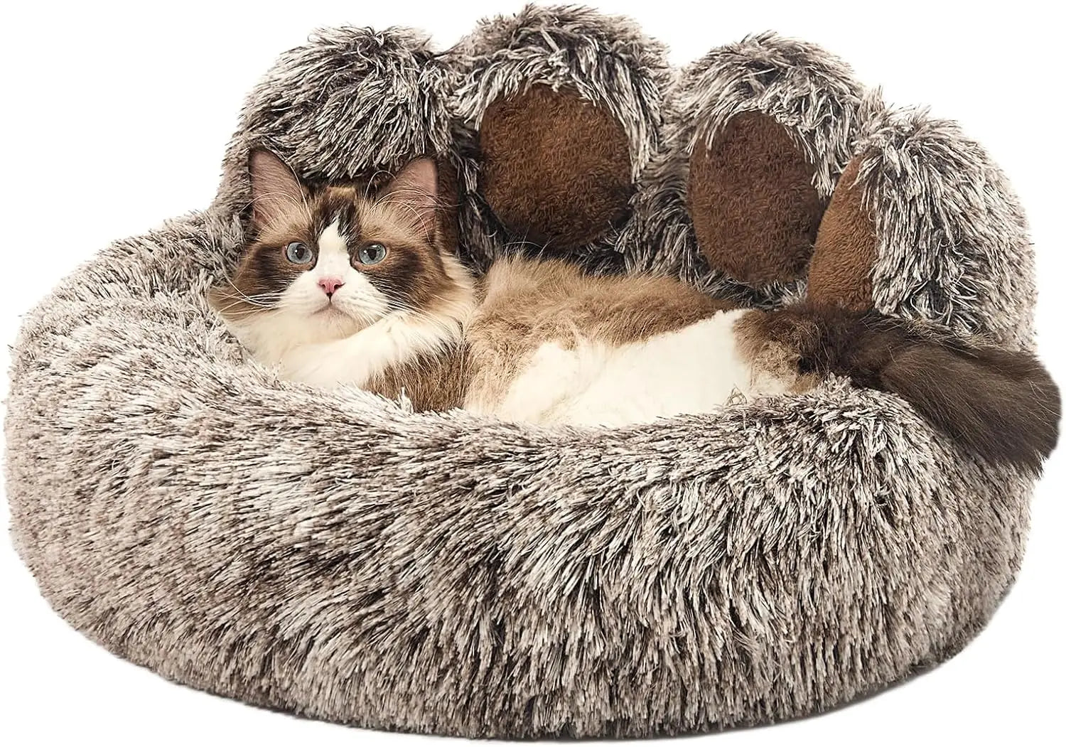 Cat Trees and Beds