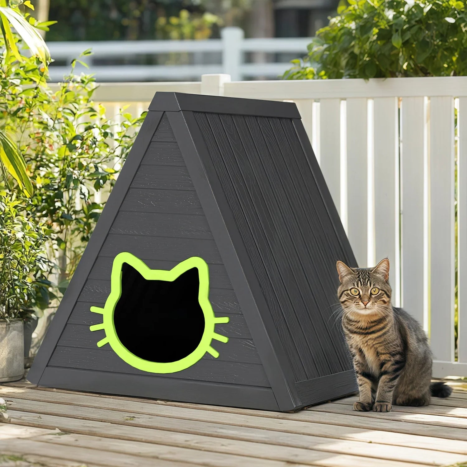 Cat Homes