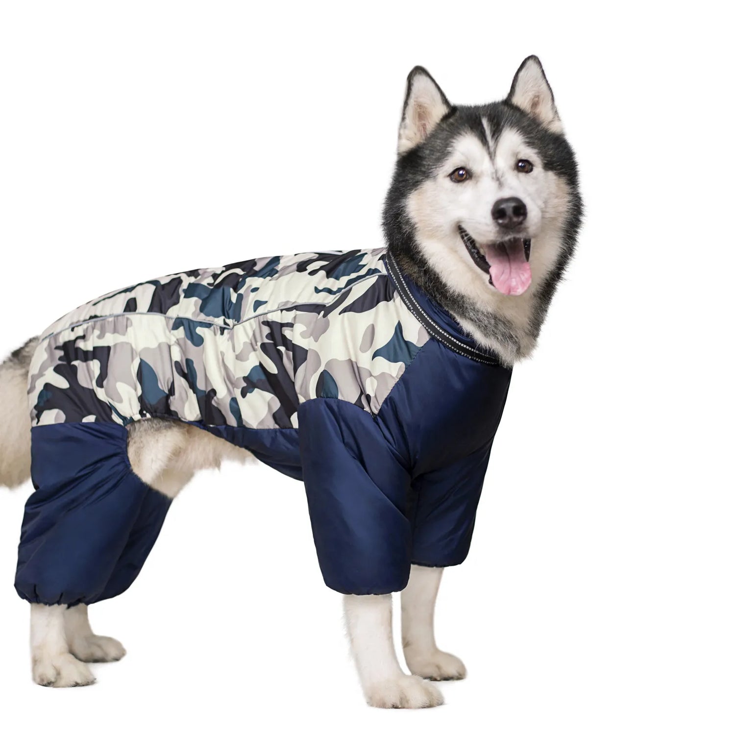 Dog Apparel
