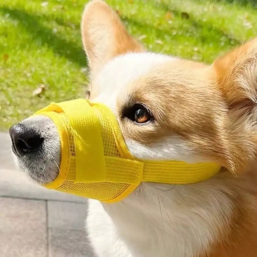 Adjustable Dog Muzzle, Anti-Bite Anti-Bark Muzzle For Small/Large Dogs, Pet Training Supplies, Breathable Mesh Design, Allow Drinking Water