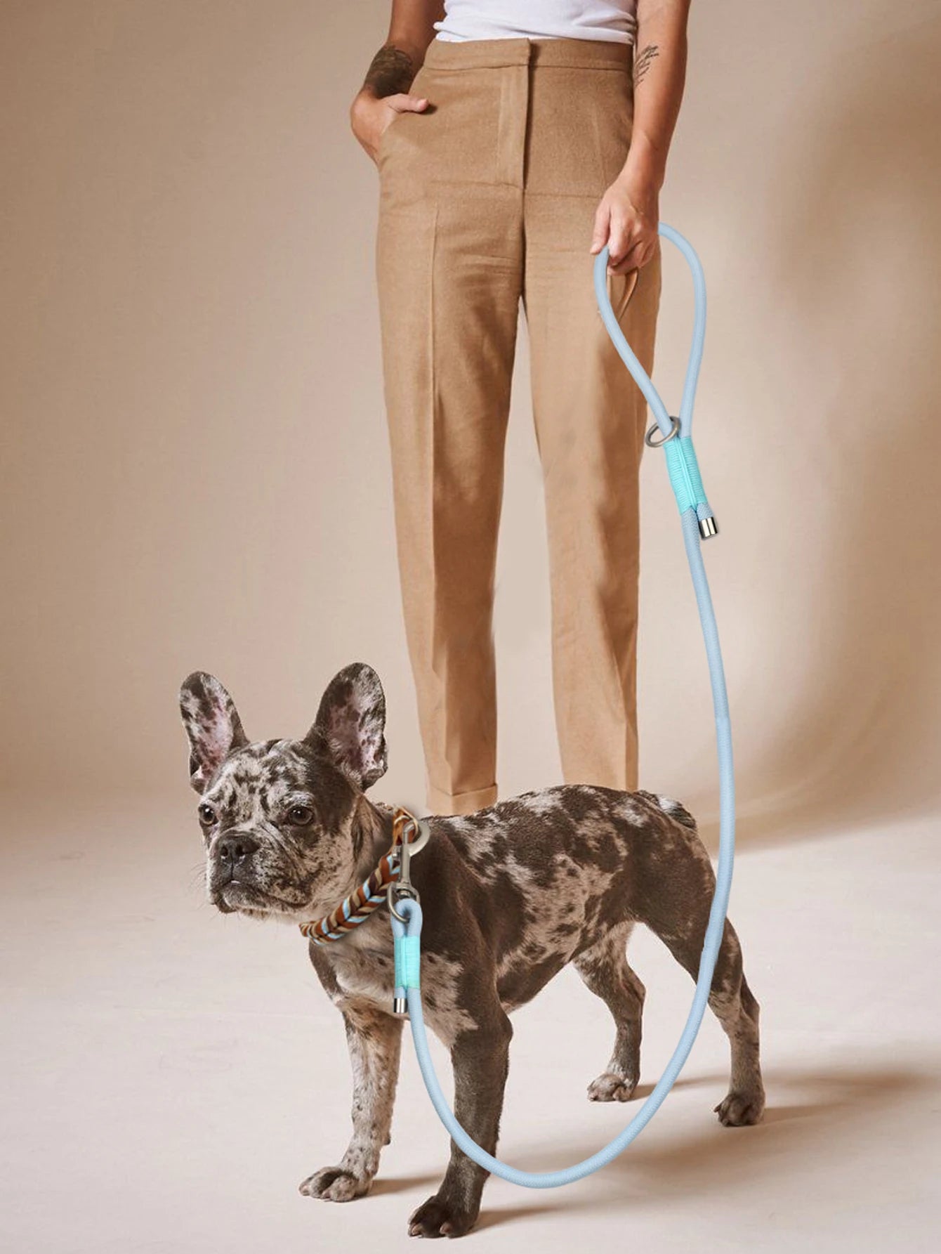 Pet Dog Leashes New Dog Walking Outdoor Multi Colors Choose Blue Pink And Purple For Small Medium and Large Dog Nylon Rope