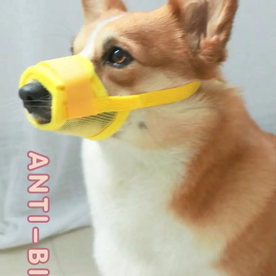Adjustable Dog Muzzle, Anti-Bite Anti-Bark Muzzle For Small/Large Dogs, Pet Training Supplies, Breathable Mesh Design, Allow Drinking Water