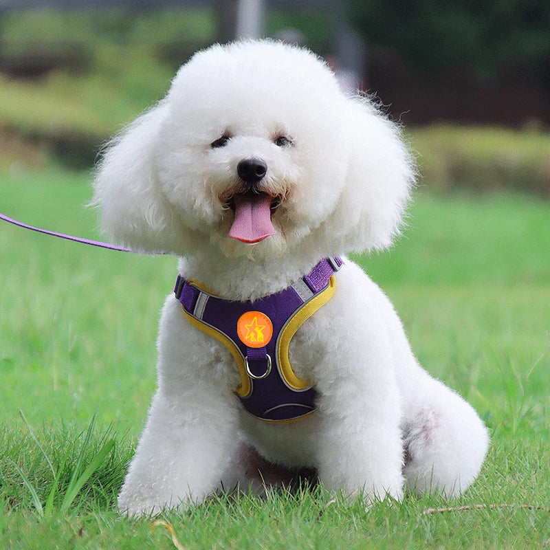 Small Medium Dogs Harness Vest Walking Traction Rope Reflective Straps, Soft Mesh Harness Breathable Pet Supplies