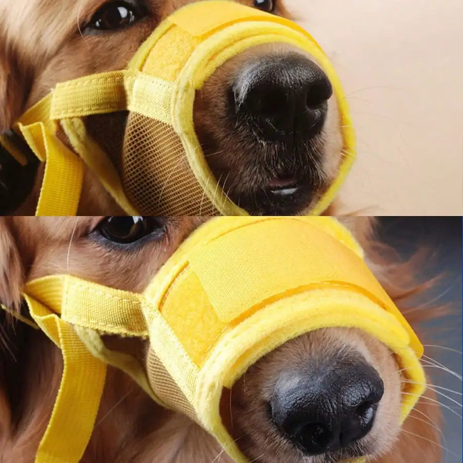 Adjustable Dog Muzzle, Anti-Bite Anti-Bark Muzzle For Small/Large Dogs, Pet Training Supplies, Breathable Mesh Design, Allow Drinking Water