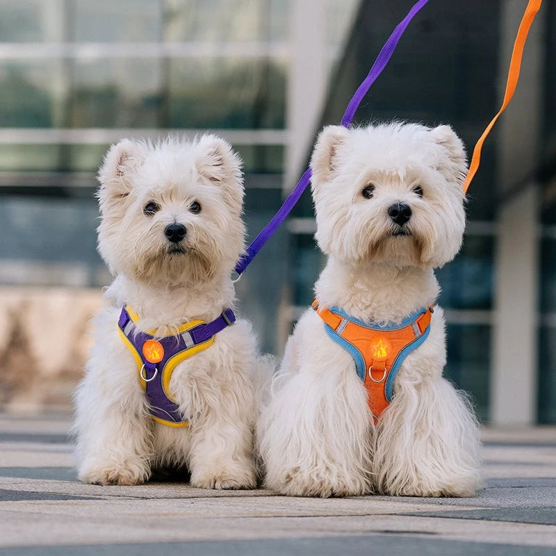 Small Medium Dogs Harness Vest Walking Traction Rope Reflective Straps, Soft Mesh Harness Breathable Pet Supplies