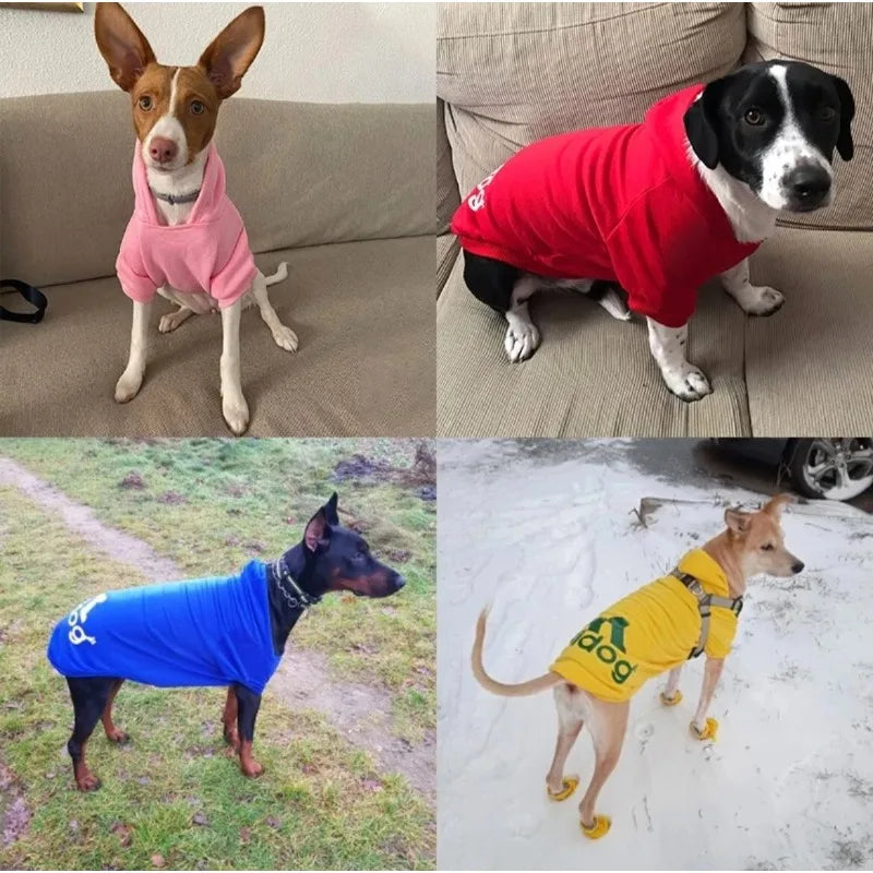 LETVIA Dogs Hoodie Sweatshirt with Letters Autumn Winter Pet Warm Coat for Medium Large Dogs Comfortable Dogs Clothes Fashion