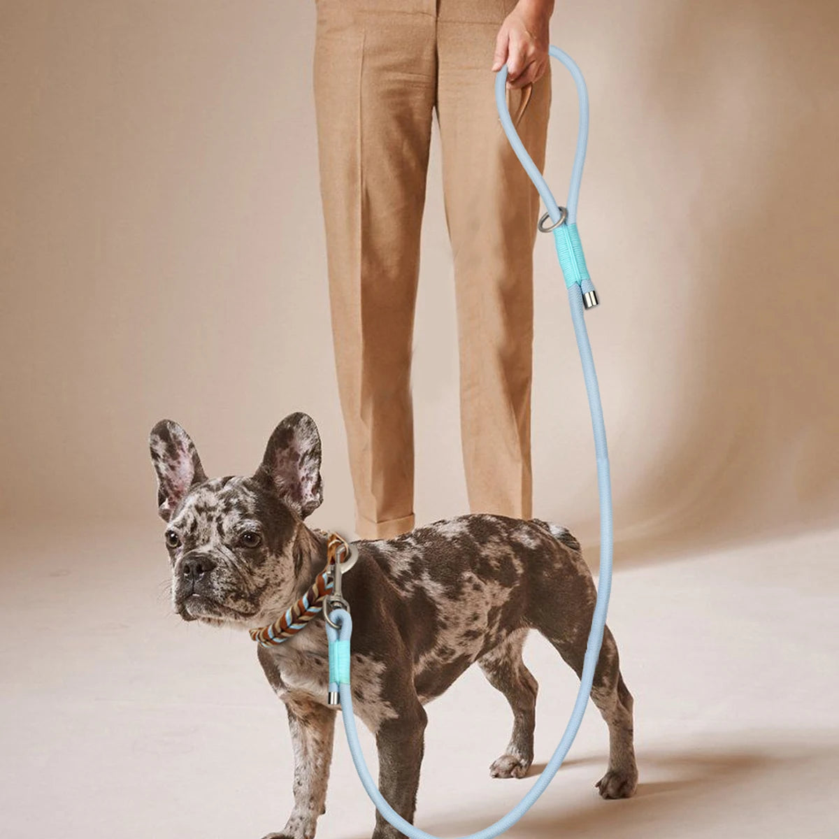 Pet Dog Leashes New Dog Walking Outdoor Multi Colors Choose Blue Pink And Purple For Small Medium and Large Dog Nylon Rope